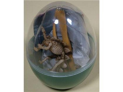 Preisvergleich Produktbild Fosil, Dino-Ei Do-Ít-Yourself sortiert 9cm