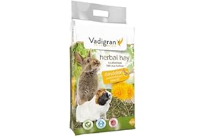 Vadigran Vadibed Foin de Fleurs de Pissenlit pour Petit Animal 500 g