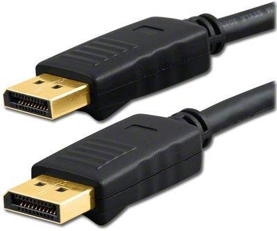 BIGtec 1m Displayport Kabel Displayport Anschlußkabel Displayport - Displaypo...