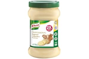 Knorr Professional paste ginger 750g