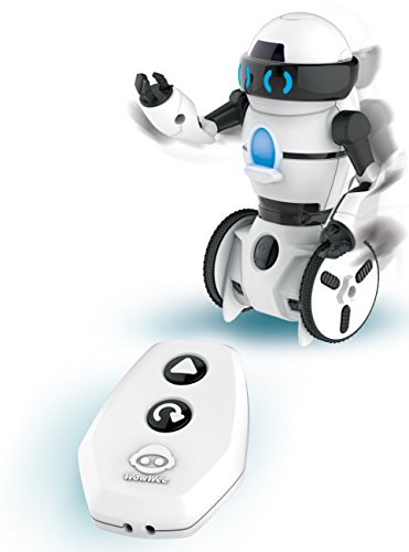 Mini MIP RC