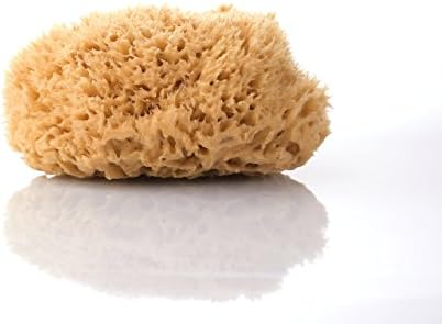 Natural sponge 18 cm - without plastic package - premium quality - natural unbleached - from the Mediterranean Sea