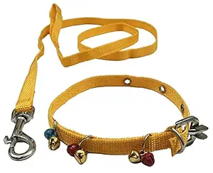 HM Puppy Dog Collar Belt and Leash ( X-Small,) - Yellow | Pet Neck Band Strap