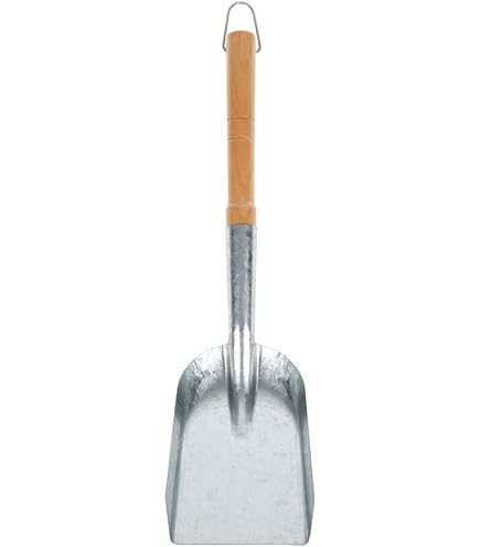 LIWI-Pelle à Cendre Avec Balayette Pour Cheminée Poêle, Pelle
