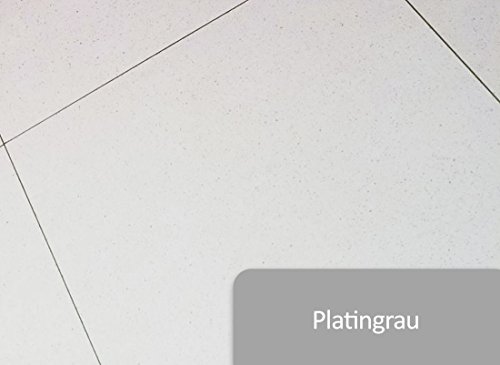 2K Fliesenlack Wand & Bodenfliesen Lack Fliesenfarbe in RAL-Farben seidenglänzend | BEKATEQ Bodenfliesen Lack Wandfliesen Fliesen Lack Badsanierung Badezimmer Fliesen Streichen in Bad, Flur, Küche Lackieren | 2-K Fliesenlack Wand (1KG, RAL7036 Platingrau)