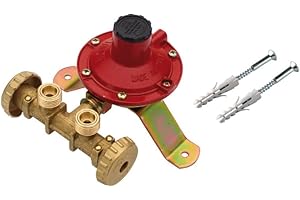 YOEYANG Mini Centralina 2 Vie Bombole Con Regolatore Da 4kg Senza Flessibili Gas Gpl