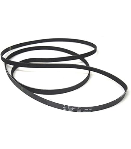 Cinghia Di Trasmissione DL-pro 1951PH7 Per Asciugatrice E Lavasciuga AEG, Electrolux, Whirlpool, 7 Coste