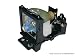 Produktbild GO Housewares GL350 UHE Projektorlampe (UHE, Epson, V13H010L34)
