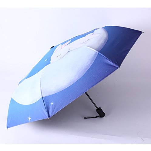 Preisvergleich Produktbild Karton Vollautomatische Winddicht Kompakte Schönheit Regen Taschenschirme Für Mädchen Damen Frauen Frau Mama Geschenk A4