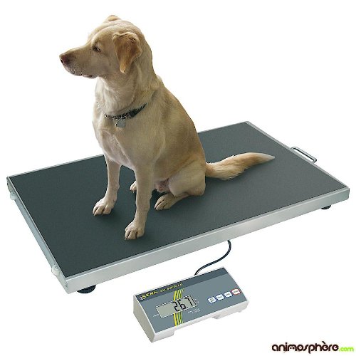 Veterinary-Scales-Kern-Stainless-Steel-Tray