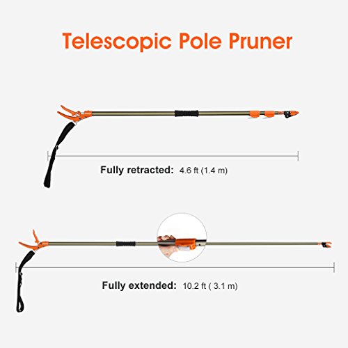 Finether Teleskop-Schneidgiraffe Teleskopschere Teleskop-Schere mit Säge Teichschere Baumschere Baumbeschneider Astschere für frische Äste und Zweige, Antihaftbeschichtet, Stahlklinge/Aluminiumstiel, Länge 1,4 – 3,1 m, orange/ champagnergelb Leichtgewicht 1.1kg - 5