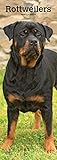 Rottweilers - Rottweiler 2020: Original BrownTrout-Kalender - Slimline [Mehrsprachig] [Kalender] (Slimline-Kalender) by 