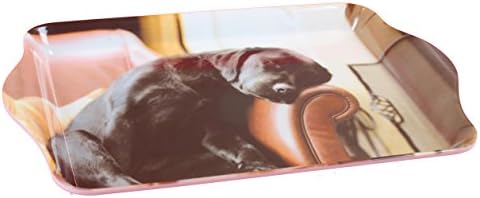 Adorable Sleeping Labrador Puppy Breed of Dog Themed Small Melamine Serving Snack Food / Trinket Tray 21x14cm Ideal Gift