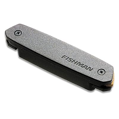 Fishman NEO-D Micro rosace passif Humbucker (double bobinage)
