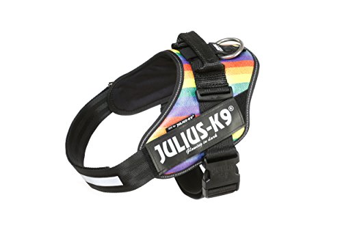 Julius K9 16idc Jrbw Idc Powerharness Dog Harness Size