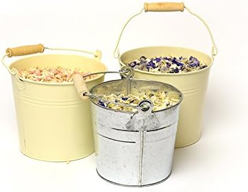 CONFETTI PAIL - NATURAL DRIED DELPHINIUM FLOWER PETAL WEDDING CONFETTI - BIODEGRADABLE (PASTEL BLUE &amp; IVORY, Cream Pail)