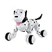 Produktbild SainSmart Jr. Elektro RC Intelligenter Hund, Wireless Interactive Welpe, Kinderspielzeug Tanzen-Roboter-Haustier, Schwarz
