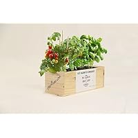 Amazon.es: Incluir no disponibles - Kits de cultivo en casa ...
