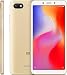 Produktbild Xiaomi Redmi 6A 5,45 Zoll Dual SIM Smartphone - deutsche Version (2GB + 32GB, Gold)