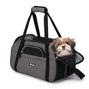 JESPET Soft Sided Pet Carrier Comfort to Travel for Small Animals/Cats/Kitten/Puppy, Smoke Gray, 19