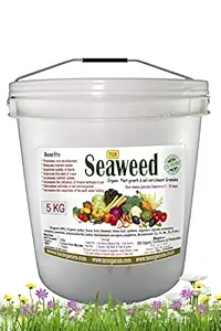 TSR Organic Fertilisers & Pesticides Seaweed granules 5 kg Bucket Multi Purpose Micro Nutrient Slow Release Fertilizer for Gardening Indoor Out Door plantations and Crops