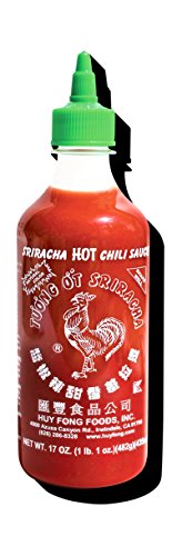 Preisvergleich Produktbild Aquarius Sriracha-Flasche Funky Chunky Magnet