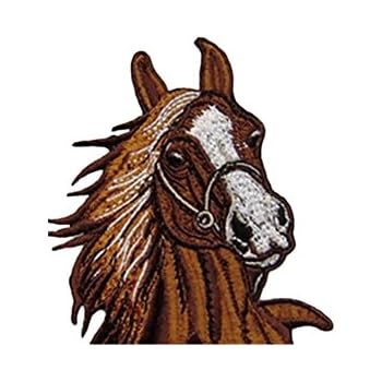 Toppe Termoadesive Cavallo Stallone Animale Arancione