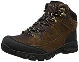 Aigle Herren Vedur Mid Mtd Trekking- & Wanderschuhe, Braun (Darkbrown 001), 44 EU