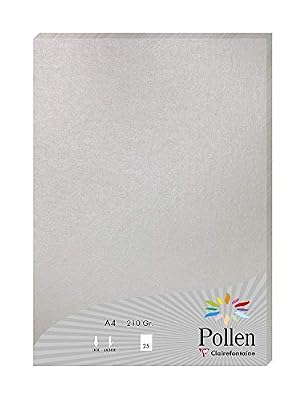 Clairefontaine 24389C - Un paquet de 25 feuilles Pollen 21x29,7 cm 210g, Argent
