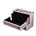 tinkertonk Professional Extra Large Space Aluminium Beauty Cosmetic&Makeup Case Toiletry Storage Nail Hairdressing Vanity Box Valentines Day Gift (Pink)