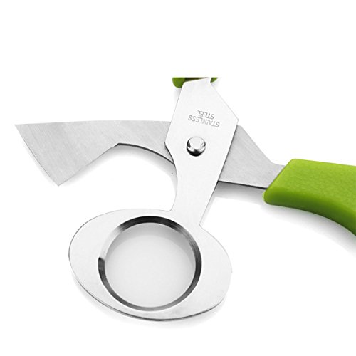 Taube Wachtel Ei Schere Ei Cutter Ei Opener KŸche Gadget - 4