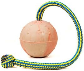 JULIUS-K9, 242BLK-60, IDC natural rubber ball with knot, 60 mm