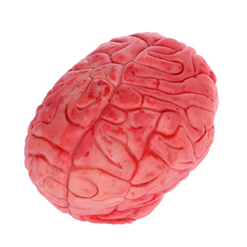 Cuigu Ferroviario Fantasía Effrayant Goma Falso órganos, fausses Manos, Falso Cerebro, Falso corazón, Faux Dedos decoración de Fiesta Halloween, Caucho, 6# Cerveau, Medium