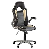 Racer- Fauteuil DE Direction Gaming.BASCULANT SYNCHRONE. Chaise DE Bureau Ergonomique PIVOTANTE. ACCOUDOIRS ESCAMOTABLES .Multi-Position. en ECO Cuir. (Gris/Noir/Beige)