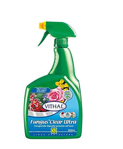 ITAL AGRO FUNGUSCLEAR ULTRA GUN Fungicida sistemico per floreali ed ornamentali in vaso o giardino domestico.