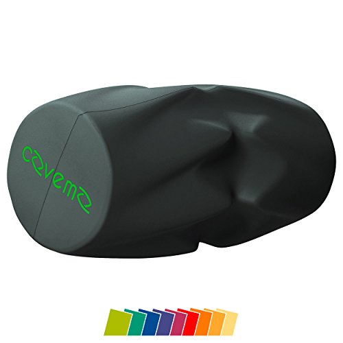 Preisvergleich Produktbild Sport-Tec Covemo Rückentrainer ProEdition