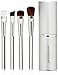 JAPONESQUE Beautiful Eyes Touch Up Tube Brush Set, Silver