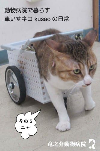 Every day of the wheelchair cat kusao which lives in an animal hospital5 kusao blog (Japanese Edition)