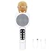 Produktbild Pandiki WS-1816 drahtlose Bluetooth-Karaoke-Mikrofon K Song-Taschen-Mikrofon-Lautsprecher-Maschine für iPhone/Android Smartphone