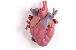 Seletti Vaso Love IN Bloom Color Art 09923