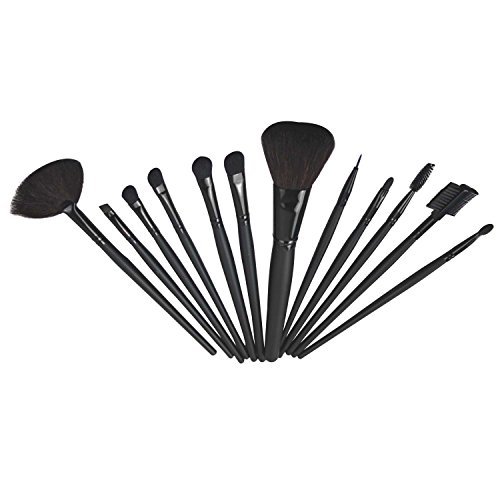 FASH Professional makeup Brush Set with Leather Pouch, 12-Piece, For Eye Shadow, Blush, Eyeliner, eyebrow.....