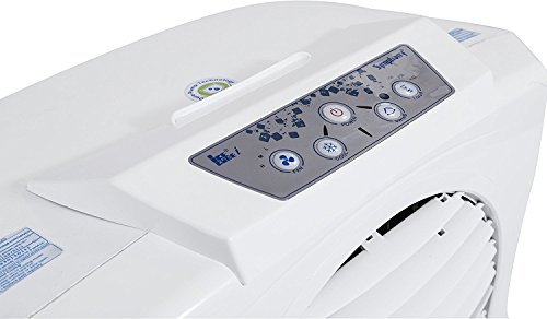 symphony ice cube xl