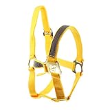cabezada de cuadra personalizada XL: ajuste para caballo altura del hombro más de 1.6 m
