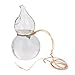 Produktbild Homyl Transparente Kalebasse Glas Vase Flasche Für Pflanzen Blumen, Balkon Hängedeko