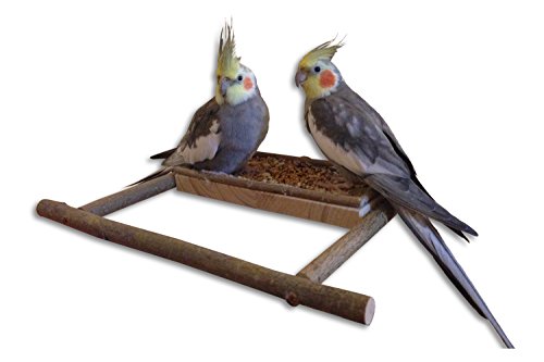 Vogelgaleria Tabla de Asiento con Madera Natural - Aproximación Barra y Cenefa para Periquito, cacatúas & Co.