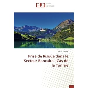 Prise de Risque dans le Secteur Bancaire : Cas de la Tunisie