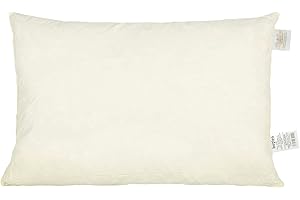 ‎BETIES beties „PublikPrall“ Polsterkissen ca. 40x60 cm echte Federn (100% Mehrfüllung) perfekt als Rückenlehne Sitzkissen oder Bodenkissen Farbe Creme