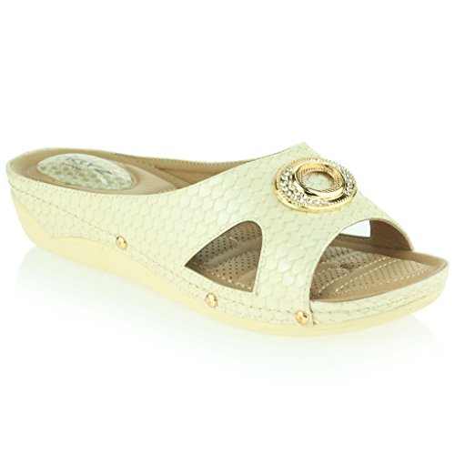 « Click to Enlarge and to go to Amazon »