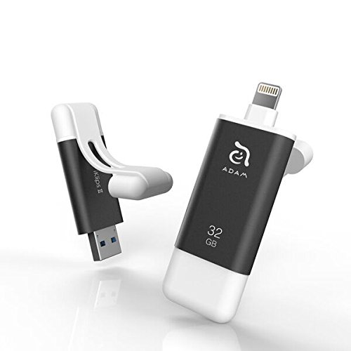 Preisvergleich Produktbild ADAM ADRAD32GKLPIIGY Elements iKlips II Flash Drive für Apple iPhone / iPad 32GB grau
