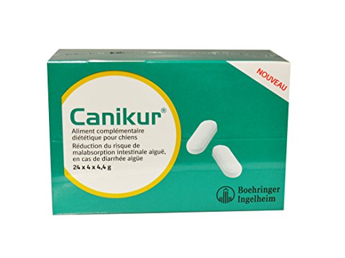 Canikur Kautabletten, 4 x 24 Blister